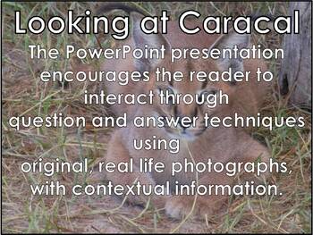 Preview of CARACAL - Interactive PowerPoint Presentation including video snippets
