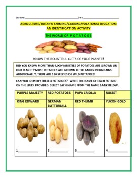 Preview of AGRICULTURE/FARMING/BOTANY: POTATO IDENTIFICATION ACTIVITY W/ ANS. KEY