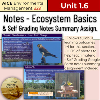 Preview of AICE Environmental | Notes 1.6 - Ecosystem Basics, Diversity & Dynamics w/Summar