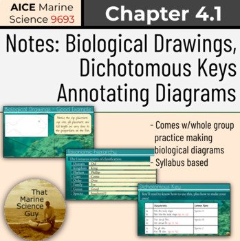 Preview of AICE Marine | Directions for Biological Drawings, very Brief Classification Note