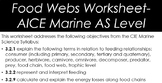 AICE Marine Food Web Worksheet- WITH KEY!