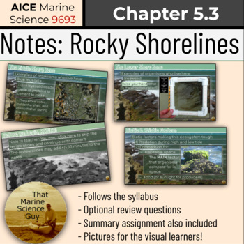 Preview of AICE Marine | Notes 5.3 - Rocky Shores w/Self Grading Summary Assignment 