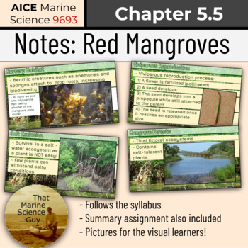 Preview of AICE Marine | Notes 5.5 - Red Mangrove Forests w/Self Grading Notes Summary Assi