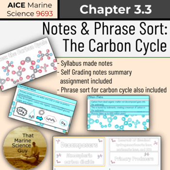 Preview of AICE Marine | Notes - The Carbon Cycle w/Phrase Sort + Self Grading Summary Assi
