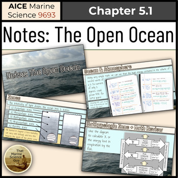 Preview of AICE Marine | Notes The Open Ocean W/Self Grading Notes Summary Assign