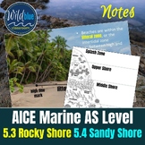 AICE Marine Science Unit 5.3 The Rocky Shore | 5.4 The San