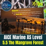 AICE Marine Science Unit 5.5 The Mangrove Forest