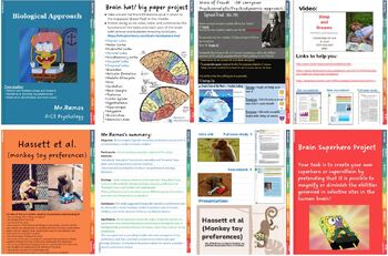 Preview of AICE Psychology Biological approach digital notebook