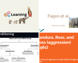 AICE Psychology Learning Unit Google Slides/NearPods