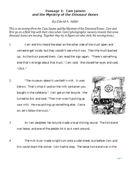 Ohio AIR Practice Test Prep Text Set - Cam Jansen by Swing Into Reading