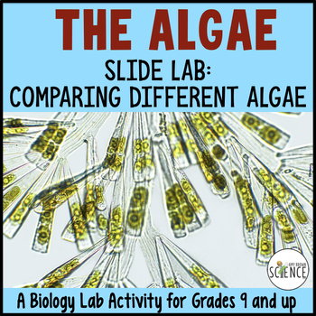 Preview of ALGAE SLIDE LAB - A Protista Kingdom Lab Activity