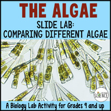 ALGAE SLIDE LAB - A Protista Kingdom Lab Activity