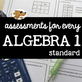 Preview of ALGEBRA 1 - ASSESSING EVERY STANDARD (bundle)