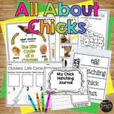 Chicken Life Cycle Worksheets Book Crafty Observation Jour