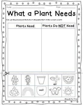 ALL ABOUT PLANTS and SEEDS, Plant Life Cycle Observation Journal, Crafty