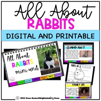 Preview of ALL ABOUT RABBITS/ DIGITAL & PRINTABLE/ Google Slides