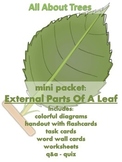 ALL ABOUT TREES  - Mini Packet: External Parts of a Leaf