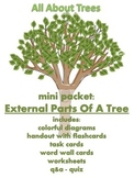 ALL ABOUT TREES  - Mini Packet: External Parts of a Tree