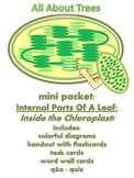 ALL ABOUT TREES - Mini Packet: Inside the Chloroplast! (Ph