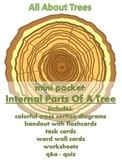 ALL ABOUT TREES  - Mini Packet: Internal Parts of a Tree