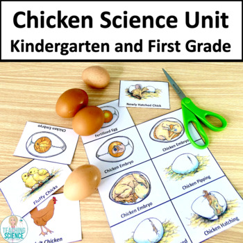 Preview of Chicken Science Unit & Chickens and Babies & Animals and Their Babies