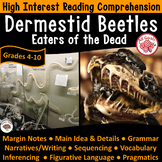 ALL GOALS Speech & Language Therapy - Dermestid Beetles Un
