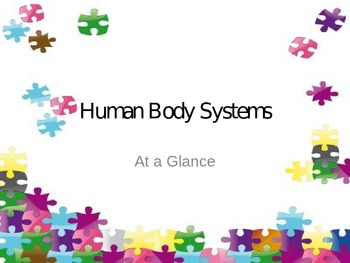 Human Body Wrap Up Activity - Puzzle by Sweet D | TpT