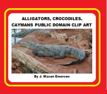 Preview of ALLIGATORS, CROCODILES & CAYMANS PUB DOMAIN CLIP ART (70+ IMAGES)