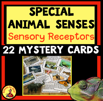 Preview of AMAZING ANIMAL SENSES 22 PHOTO SORT CARDS Mystery Descriptions Sensory Receptors
