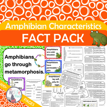 Preview of AMPHIBIAN CHARACTERISTICS {What makes an amphibian an amphibian?} TRAITS