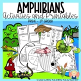 AMPHIBIANS | Animal Groups for K-1