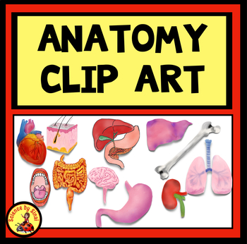 Preview of ANATOMY CLIP ART Organs and Structures- Add to Worksheets and Bulletin Boards