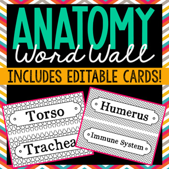 Preview of ANATOMY VOCABULARY Word Wall Terms | Test Prep Activity | Body Systems
