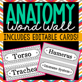 ANATOMY VOCABULARY Word Wall Terms | Test Prep Activity | 