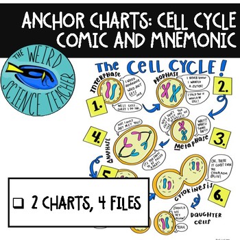 Mnemonic Chart
