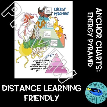 Preview of ANCHOR CHARTS: ENERGY PYRAMIDS - Distance/Digital Learning Friendly!