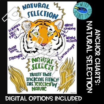 Preview of ANCHOR CHARTS NATURAL SELECTION  Digital Learning Options Included
