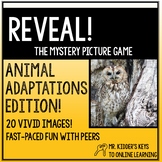 ANIMAL ADAPTATIONS EDITION of Reveal! The Mystery Picture Game