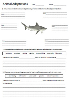 ANIMAL Adaptations Worksheet | BUNDLE by Our Thriving Classroom | TpT