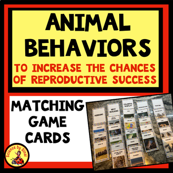 Preview of ANIMAL BEHAVIORS FOR REPRODUCTIVE SUCCESS Matching Sort Card GAME