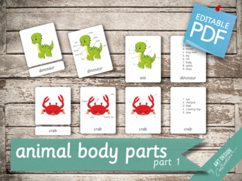 Label Animal Body Parts Worksheets Teaching Resources Tpt