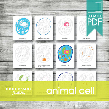 Preview of ANIMAL CELL PARTS • Montessori Cards • Flash Cards • Three Part Cards