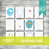 ANIMAL CELL PARTS • Montessori Cards • Flash Cards • Three
