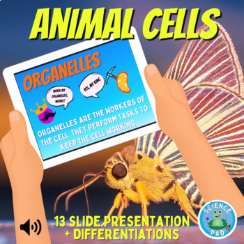 ANIMAL CELL SLIDES | Cells Presentation | Organelles and Theory PowerPoint