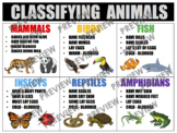 CLASSIFYING ANIMALS Anchor Chart