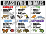 CLASSIFYING ANIMALS Anchor Chart Bundle