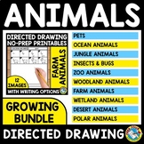 ANIMAL DIRECTED DRAWING STEP BY STEP WORKSHEET WRITING RES