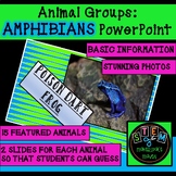 ANIMAL GROUPS: AMPHIBIANS POWERPOINT W/ 15 ANIMAL PHOTOS H