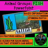 ANIMAL GROUPS: FISH POWERPOINT W/ 20 ANIMAL PHOTOS HUGE TI