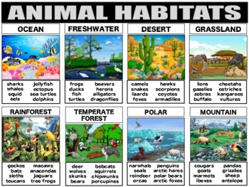 Preview of ANIMAL HABITATS Research Project Bundle